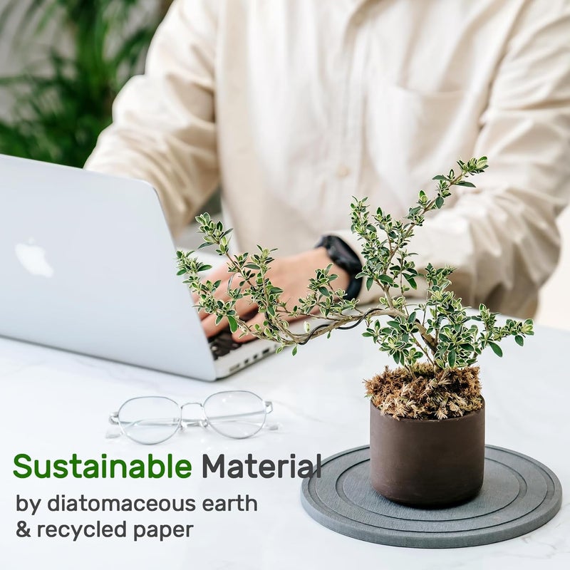 Relime Diatomaceous Earth Plant Saucer for Indoor, 2 Pack 6 inch, Instant Dry Pot Saucer, Plant Drip & Drainage Tray for Indoor, Stone Gray - Image 5